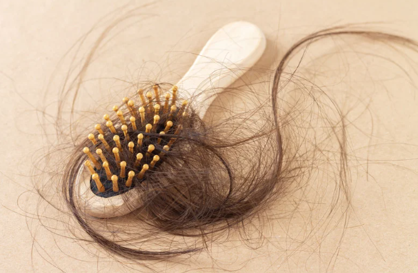 chute cheveux automne